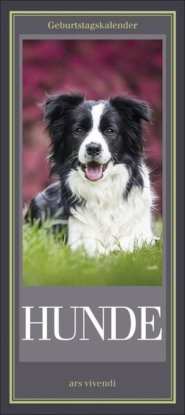 Produktbild: Geburtstagskalender Hunde