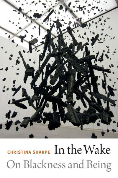 Produktbild: In the Wake