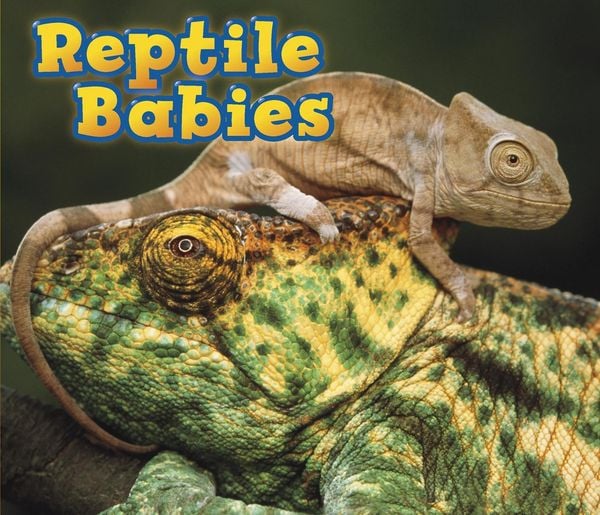 Produktbild: Reptile Babies