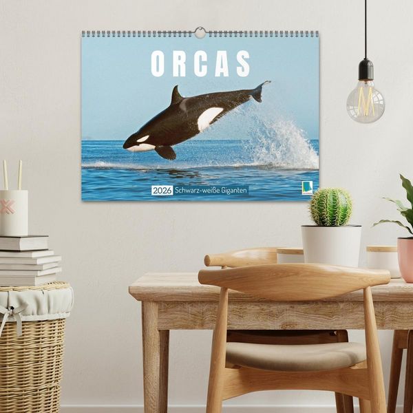 Produktbild: Orcas: Schwarz-wei&szlig;e Giganten (Wandkalender 2026 DIN A3 quer), CALVENDO Monatskalender