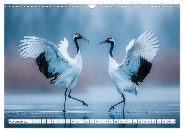 Produktbild: Mit den Kranichen kehrt das Licht in die Seele zur&uuml;ck (Wandkalender 2027 DIN A3 quer), CALVENDO Monatskalender