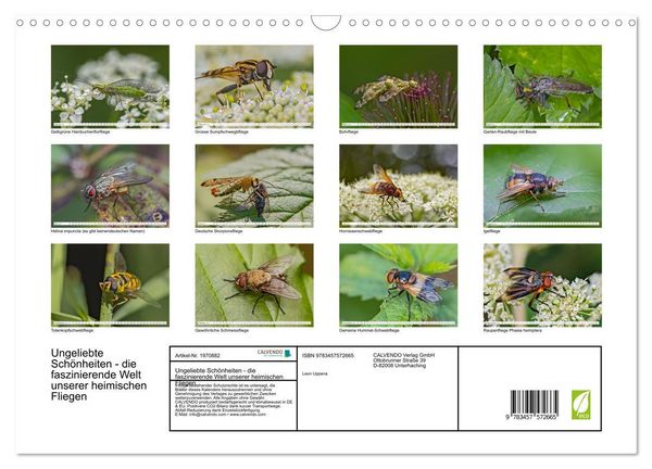 Produktbild: Ungeliebte Sch&ouml;nheiten - die faszinierende Welt unserer heimischen Fliegen (Wandkalender 2026 DIN A3 quer), CALVENDO Monatskalender