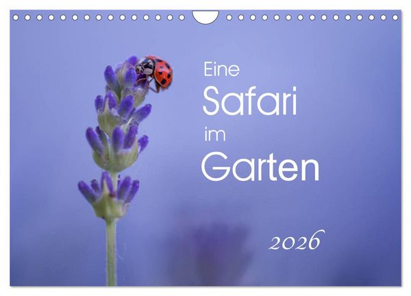 Eine Safari im Garten (Wandkalender 2026 DIN A4 quer), CALVENDO Monatskalender