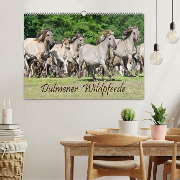 Produktbild: D&uuml;lmener Wildpferde (Wandkalender 2026 DIN A2 quer), CALVENDO Monatskalender