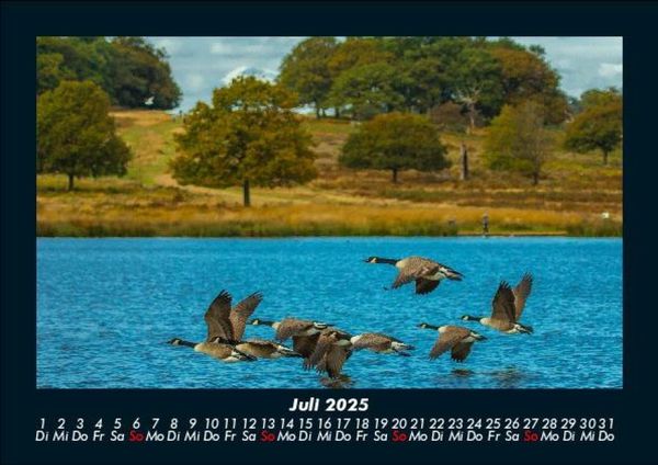 Produktbild: Seeblick 2025 Fotokalender DIN A5