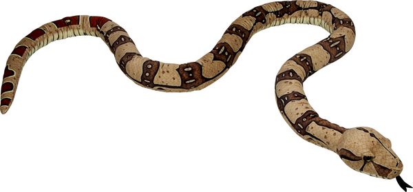 Produktbild: Boa constrictor / Nature Zoom
