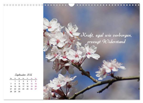 Produktbild: Innehalten in der Natur ... mit Weisheiten und Sprichworten der Indianer (Wandkalender 2026 DIN A3 quer), CALVENDO Monatskalender