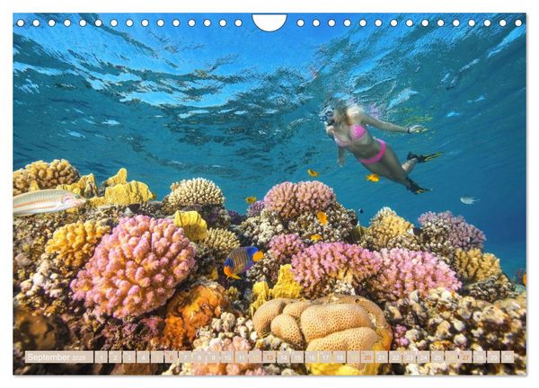 Produktbild: Die Malediven: Fluchtpunkt Sehnsucht (Wandkalender 2026 DIN A4 quer), CALVENDO Monatskalender