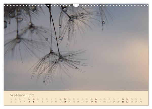 Produktbild: Unscheinbare Sch&ouml;nheit - Pusteblume (Wandkalender 2026 DIN A3 quer), CALVENDO Monatskalender