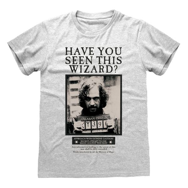 Harry Potter Sirius Black Poster Grey T-Shirt L