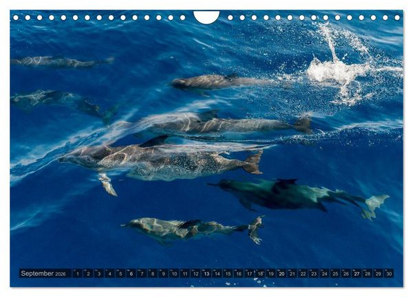 Produktbild: Grandioses Canaria (Wandkalender 2026 DIN A4 quer), CALVENDO Monatskalender