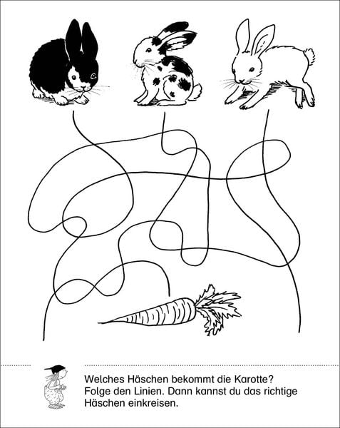 Produktbild: LernSpielZwerge - Kombinationsspiele