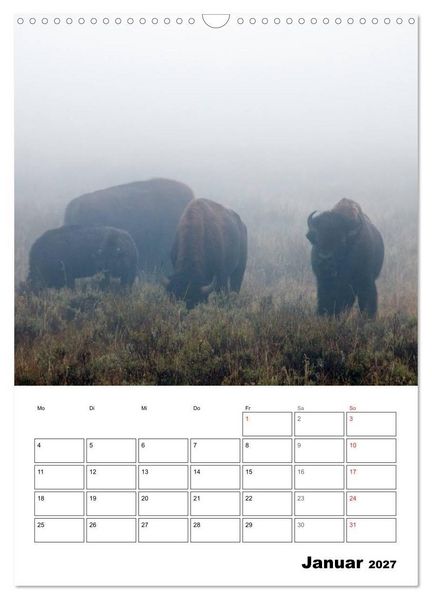 Produktbild: Yellowstone und Grand Tetons Nationalparks (Wandkalender 2027 DIN A3 hoch), CALVENDO Monatskalender