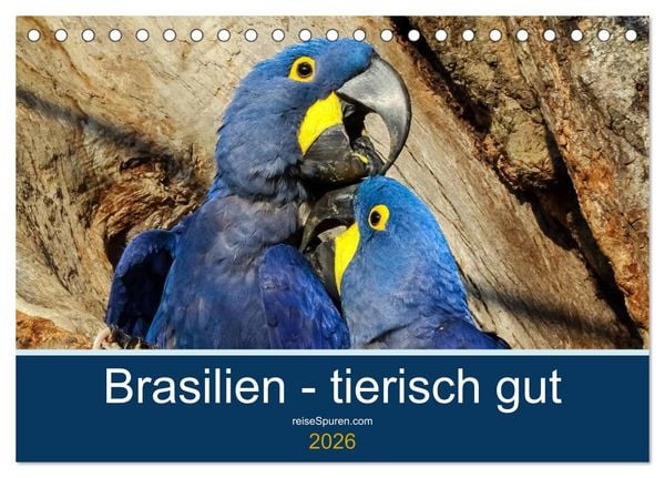Produktbild: Brasilien tierisch gut 2026 (Tischkalender 2026 DIN A5 quer), CALVENDO Monatskalender