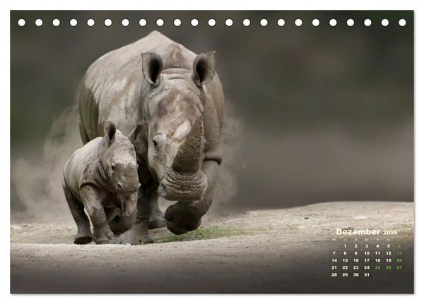 Produktbild: WILDE TIERE IN AKTION (Tischkalender 2026 DIN A5 quer), CALVENDO Monatskalender