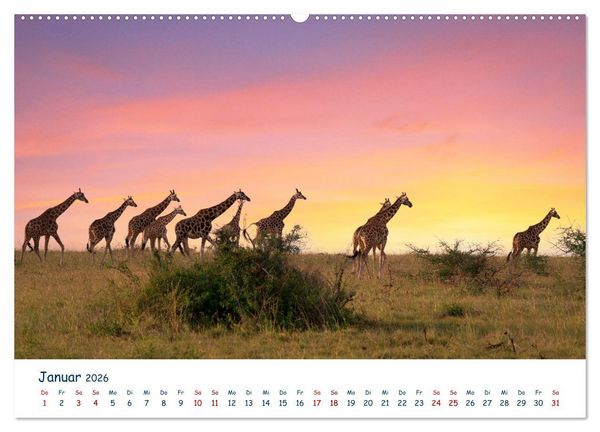 Produktbild: Fernweh Uganda - Natursch&ouml;nheit Ostafrikas (hochwertiger Premium Wandkalender 2026 DIN A2 quer), Kunstdruck in Hochglanz