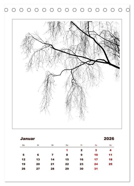 Produktbild: LignoGrafica - Muster und Strukturen der B&auml;ume (Tischkalender 2026 DIN A5 hoch), CALVENDO Monatskalender