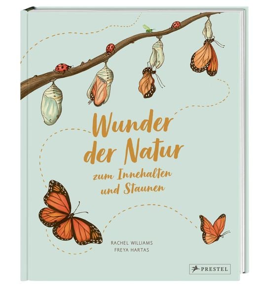 Produktbild: Wunder der Natur zum Innehalten und Staunen