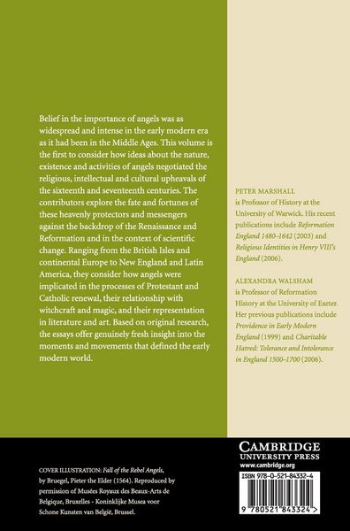 Produktbild: Angels in the Early Modern World