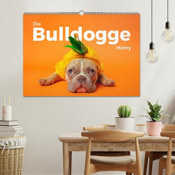 Produktbild: Die Bulldogge Henry (Wandkalender 2026 DIN A2 quer), CALVENDO Monatskalender