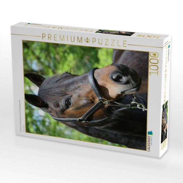 Produktbild: CALVENDO Puzzle Ein Motiv aus dem Kalender Traumhafte Pferdeportraits | 1000 Teile Lege-Gr&ouml;&szlig;e 64x48cm Foto-Puzzle f&uuml;r gl&uuml;ckliche Stunden