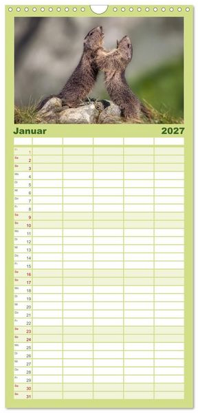 Produktbild: Familienplaner 2027 - Tiere der Alpen - Murmeltier-Kinder mit 5 Spalten (Wandkalender, 21 x 45 cm) CALVENDO