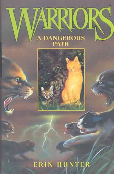 Produktbild: Warriors #5: A Dangerous Path