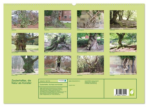 Produktbild: Zauberhaftes, die Natur als K&uuml;nstler (hochwertiger Premium Wandkalender 2026 DIN A2 quer), Kunstdruck in Hochglanz