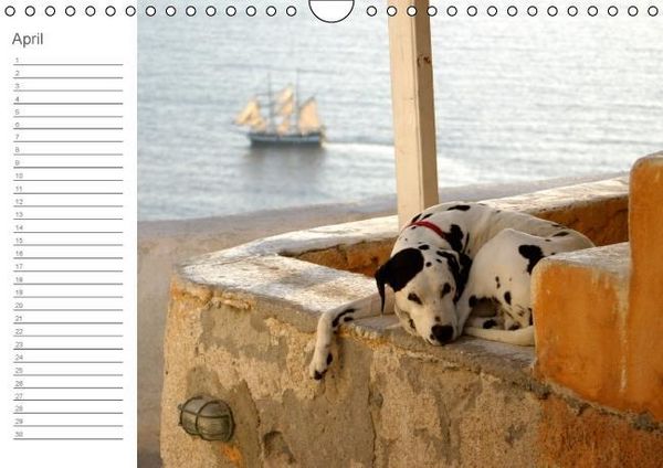 Produktbild: Impressionen des S&uuml;dens (Wandkalender immerw&auml;hrend DIN A4 quer)