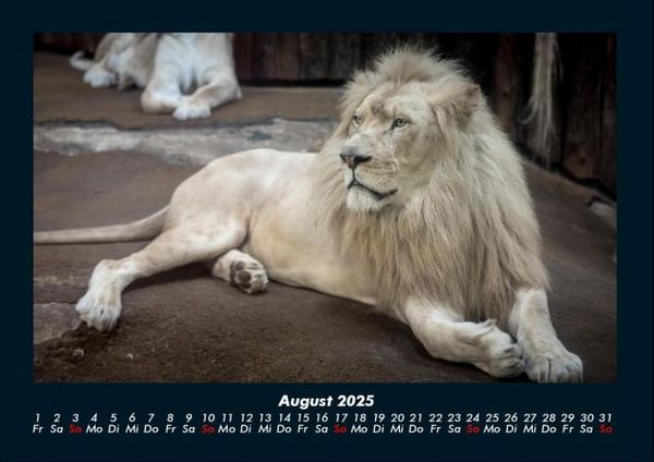 Produktbild: Welt der Tiere 2025 Fotokalender DIN A4