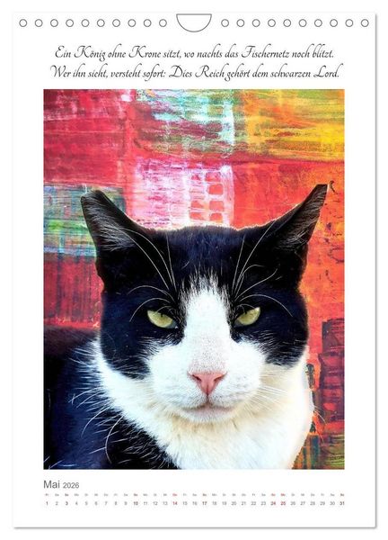 Produktbild: Katzenlyrik - Zw&ouml;lf Seelen auf Samtpfoten in Wort und Bild (Wandkalender 2026 DIN A4 hoch), CALVENDO Monatskalender