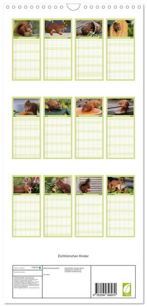 Produktbild: Familienplaner 2027 - Eichh&ouml;rnchen Kinder mit 5 Spalten (Wandkalender, 21 x 45 cm) CALVENDO