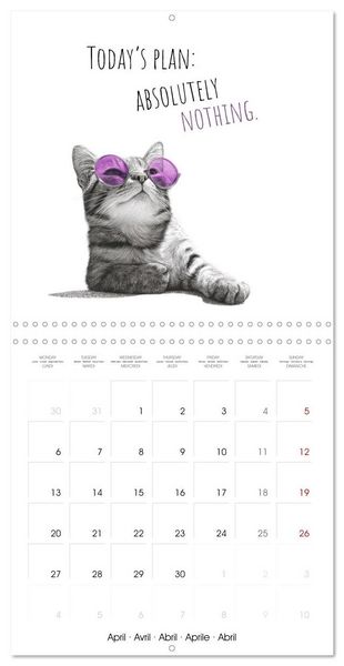 Produktbild: Purrfectly Cool Cats (Wall Calendar 2026 12 &times; 12 Inch) CALVENDO 12 Month Wall Calendar