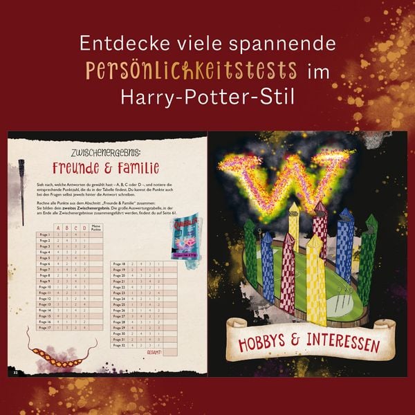 Produktbild: Der gro&szlig;e magische Haus-Test. Das inoffizielle Harry Potter Testbuch