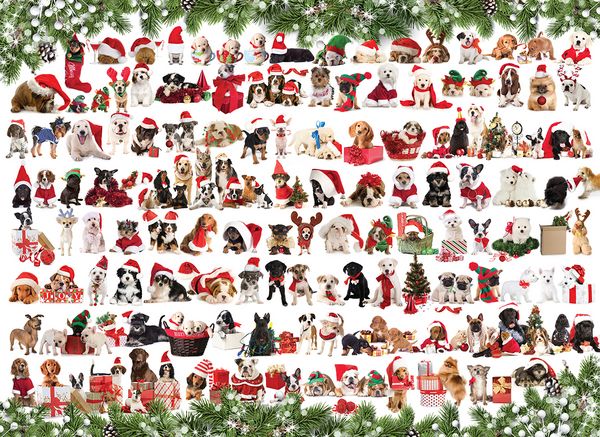 Holiday Dogs