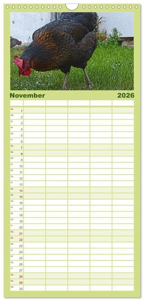 Produktbild: Familienplaner 2026 - Die H&uuml;hner sind los! mit 5 Spalten (Wandkalender, 21 x 45 cm) CALVENDO