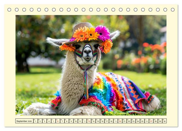 Produktbild: Lamas auf Tour. Perus flauschige Fashion-Ikonen (Tischkalender 2026 DIN A5 quer), CALVENDO Monatskalender