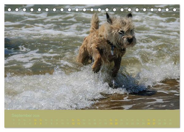 Produktbild: Cairns Forever (Tischkalender 2026 DIN A5 quer), CALVENDO Monatskalender
