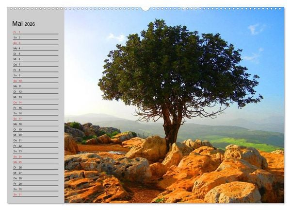 Produktbild: Magische B&auml;ume (hochwertiger Premium Wandkalender 2026 DIN A2 quer), Kunstdruck in Hochglanz