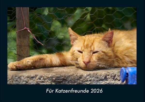Für Katzenfreunde 2026 Fotokalender DIN A4
