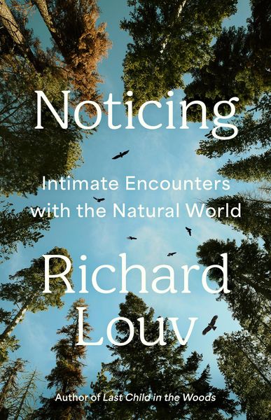 Produktbild: Noticing