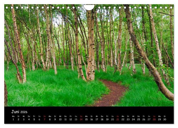 Produktbild: Amrum (Wandkalender 2026 DIN A4 quer), CALVENDO Monatskalender