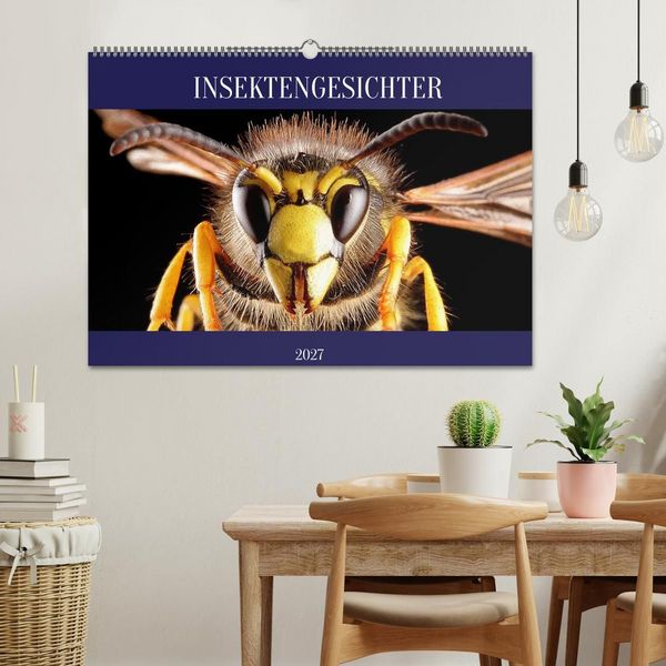 Produktbild: INSEKTENGESICHTER (Wandkalender 2027 DIN A2 quer), CALVENDO Monatskalender
