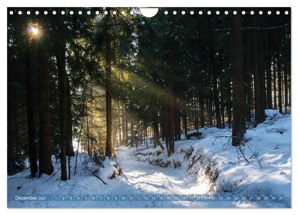 Produktbild: Spaziergang im Wald (Wandkalender 2027 DIN A4 quer), CALVENDO Monatskalender