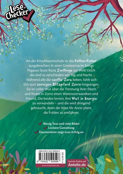 Produktbild: Die Schule der Herzenspferde 3: Zorro & Elin