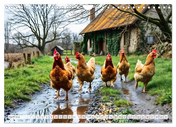 Produktbild: Wo der Tag nach Heu duftet - Zw&ouml;lf stille Monatsmomente im b&auml;uerlichen Rhythmus der Natur (Wandkalender 2026 DIN A4 quer), CALVENDO Monatskalender