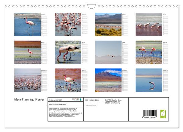 Produktbild: Mein Flamingo Planer (Wandkalender 2026 DIN A3 quer), CALVENDO Monatskalender