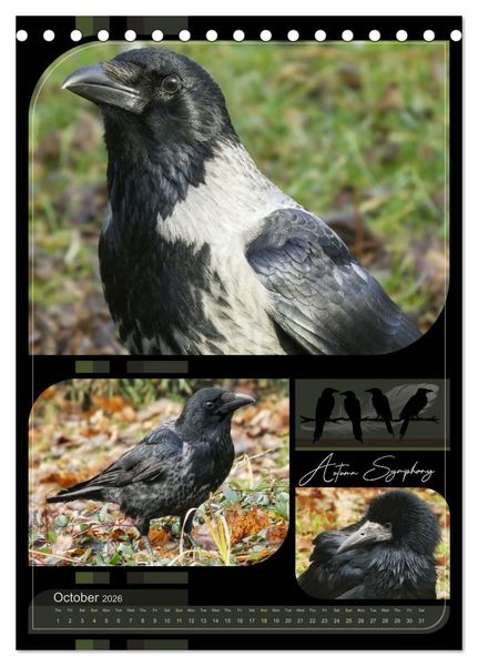 Produktbild: Crows - Through the Seasons (Desk Calendar 2026 DIN A5 portrait), CALVENDO 12 Month DeskCalendar