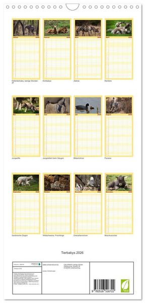 Produktbild: Familienplaner 2026 - Tierbabys 2026 mit 5 Spalten (Wandkalender, 21 x 45 cm) CALVENDO