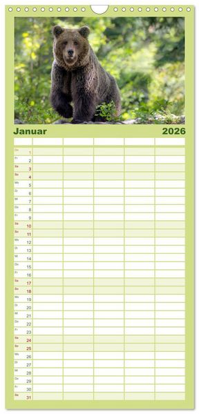 Produktbild: Familienplaner 2026 - Lautlos in den W&auml;ldern Sloweniens mit 5 Spalten (Wandkalender, 21 x 45 cm) CALVENDO